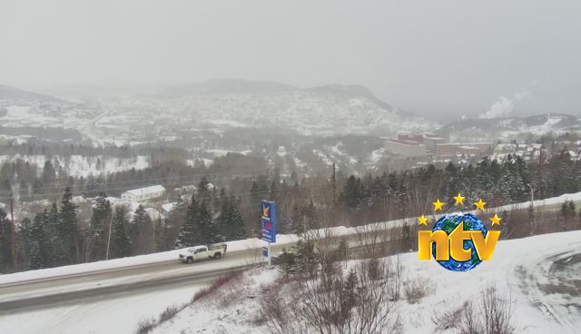 webcam-cornerbrook